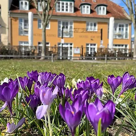 Hotel Altes Kasino Am 3*